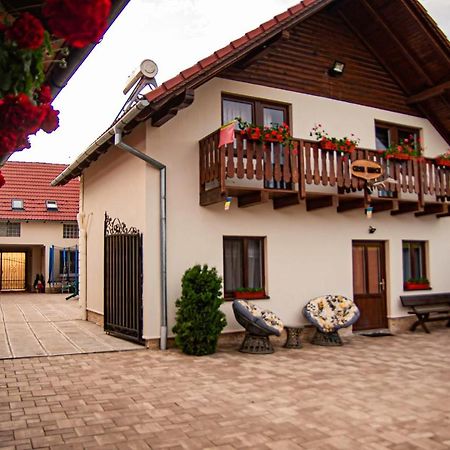 Casa Iancu Ξενοδοχείο Jina Εξωτερικό φωτογραφία