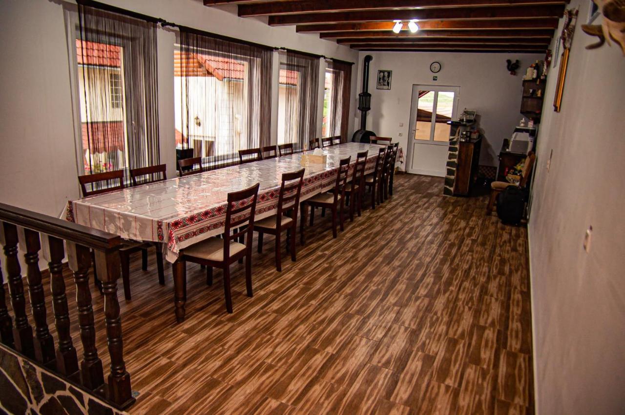 Casa Iancu Ξενοδοχείο Jina Εξωτερικό φωτογραφία
