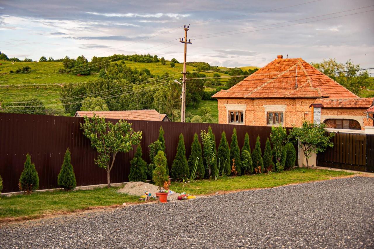 Casa Iancu Ξενοδοχείο Jina Εξωτερικό φωτογραφία