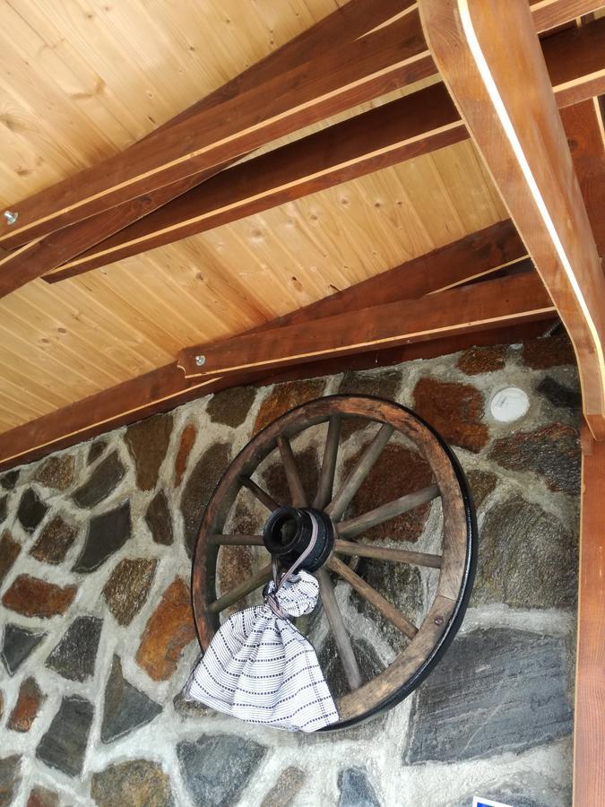 Casa Iancu Ξενοδοχείο Jina Εξωτερικό φωτογραφία