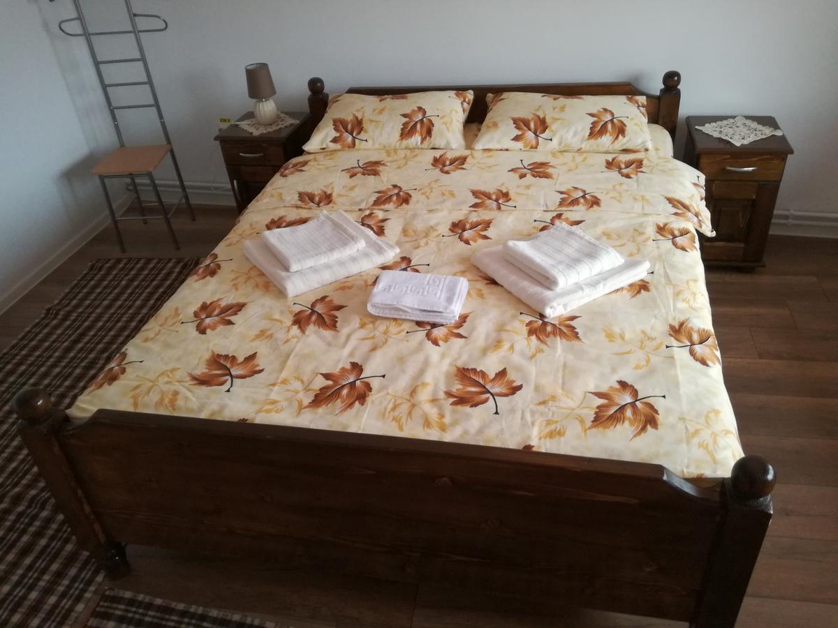 Casa Iancu Ξενοδοχείο Jina Εξωτερικό φωτογραφία