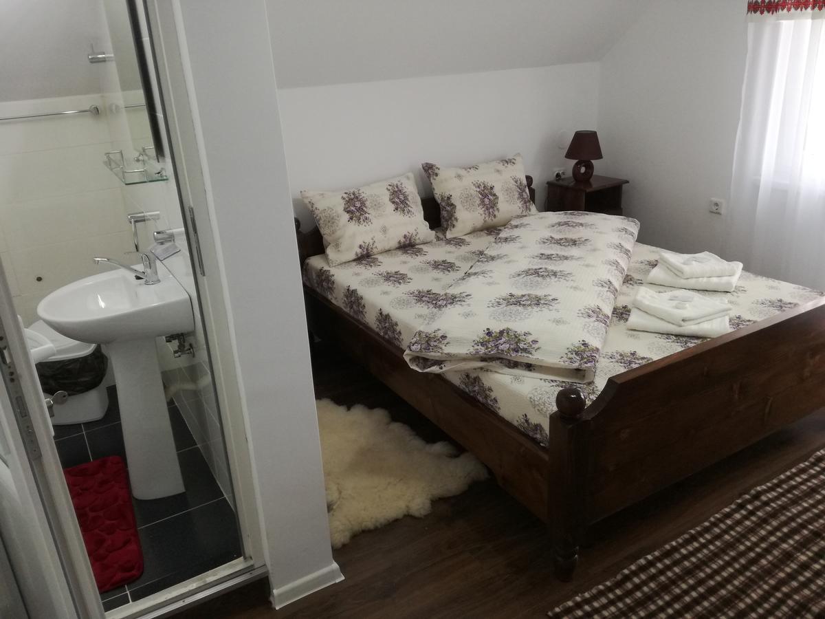 Casa Iancu Ξενοδοχείο Jina Εξωτερικό φωτογραφία