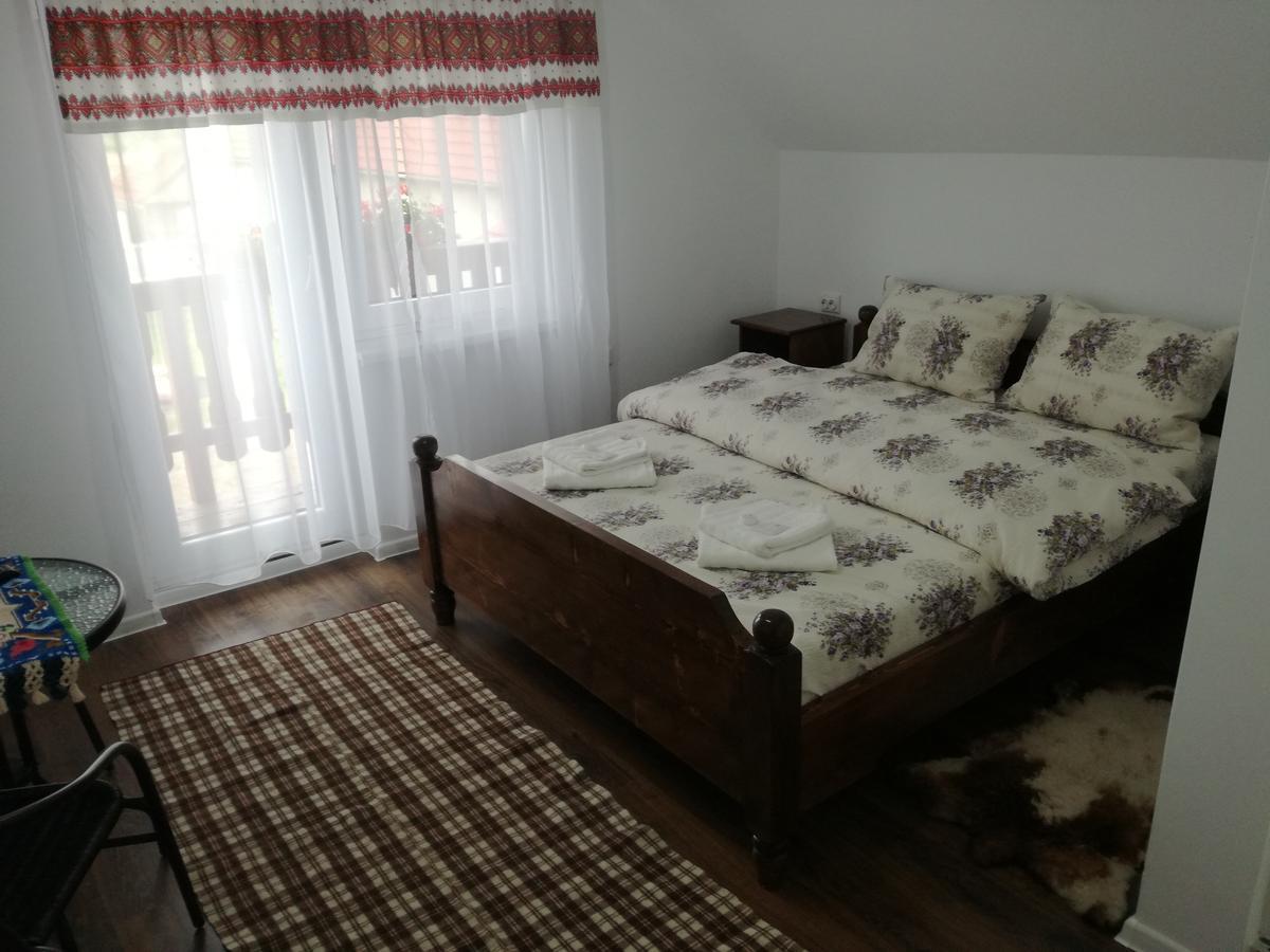 Casa Iancu Ξενοδοχείο Jina Εξωτερικό φωτογραφία