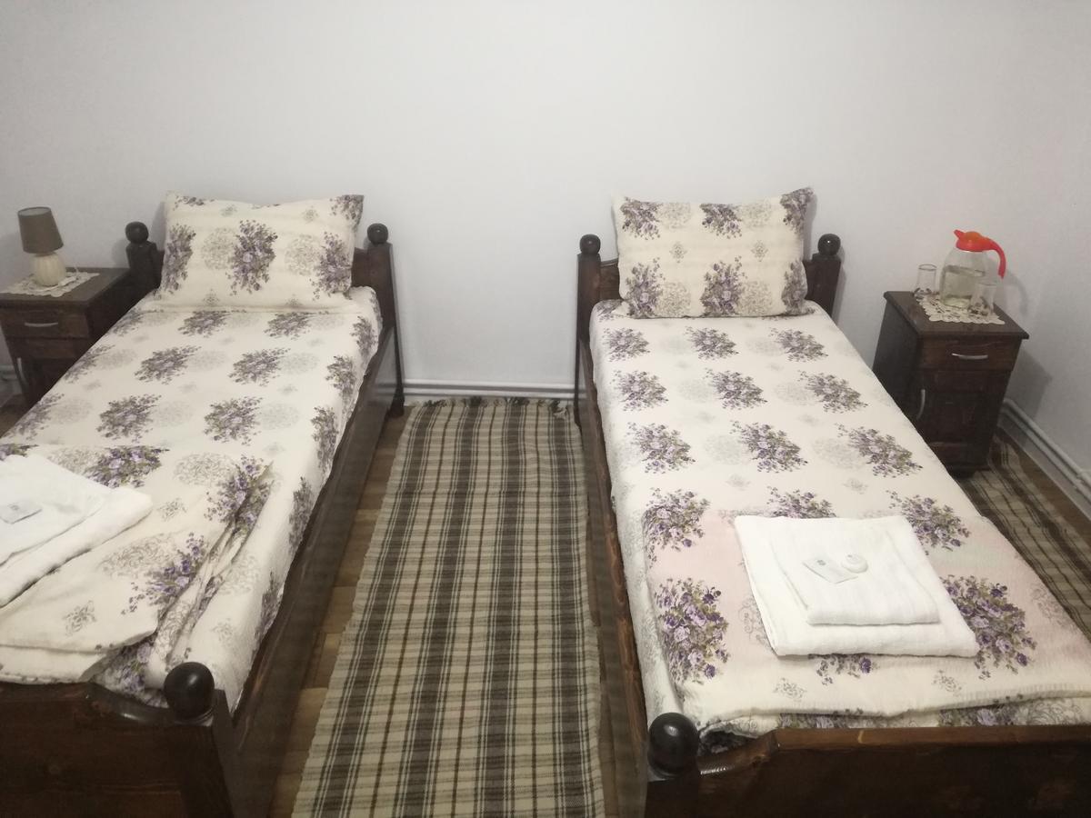 Casa Iancu Ξενοδοχείο Jina Εξωτερικό φωτογραφία
