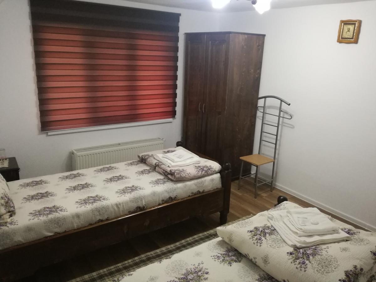 Casa Iancu Ξενοδοχείο Jina Εξωτερικό φωτογραφία