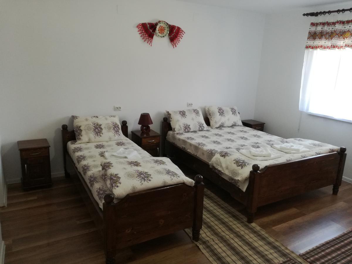 Casa Iancu Ξενοδοχείο Jina Εξωτερικό φωτογραφία