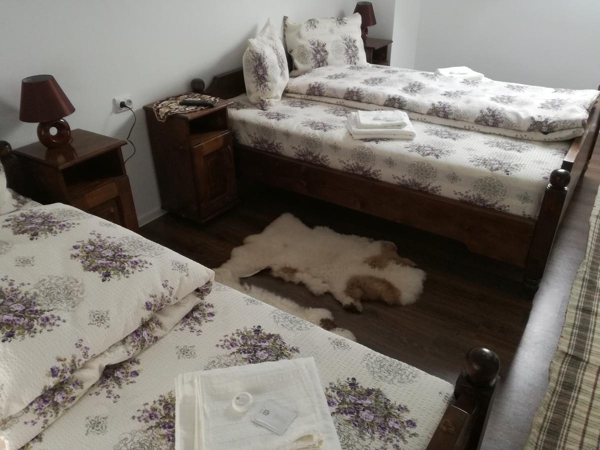 Casa Iancu Ξενοδοχείο Jina Εξωτερικό φωτογραφία