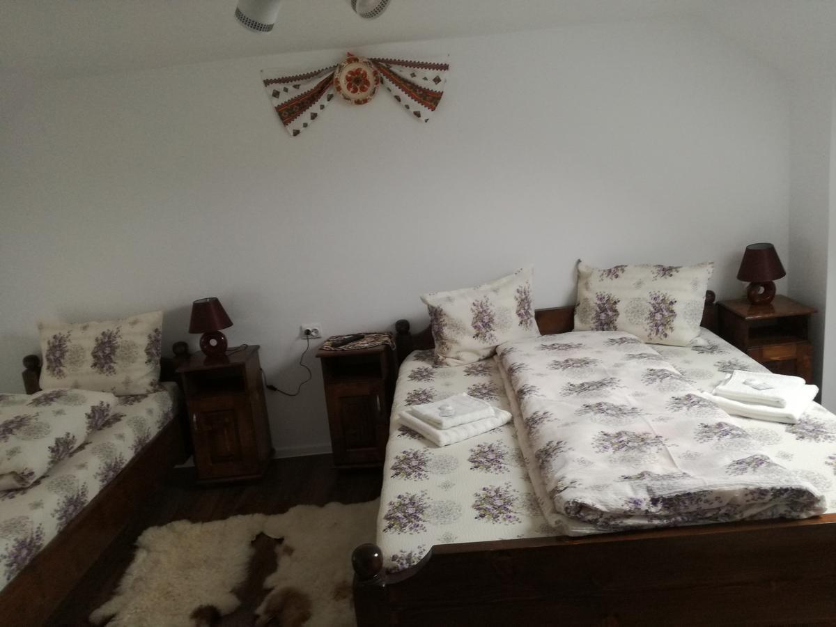 Casa Iancu Ξενοδοχείο Jina Εξωτερικό φωτογραφία