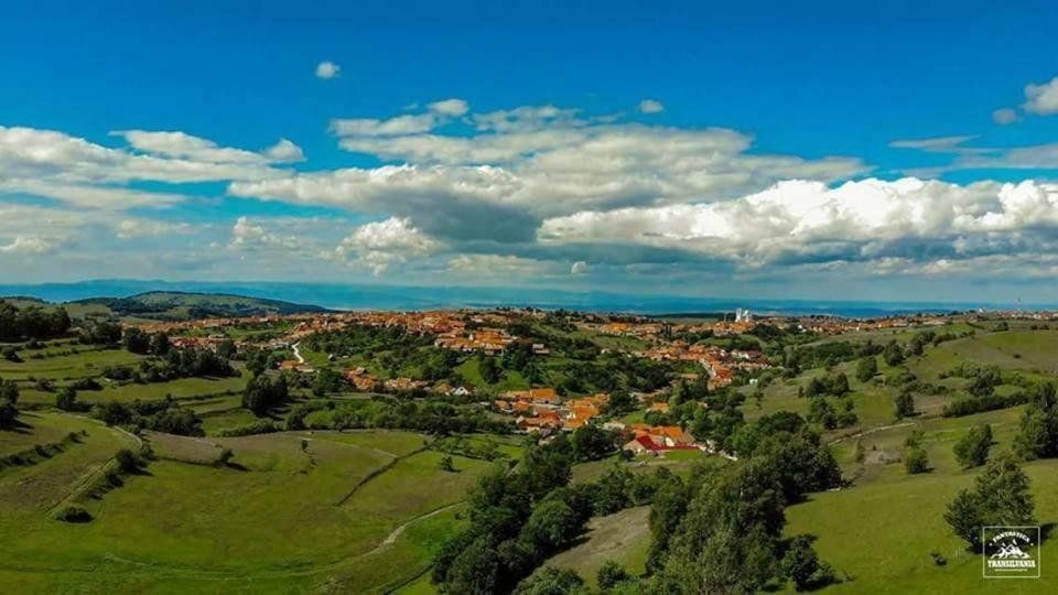 Casa Iancu Ξενοδοχείο Jina Εξωτερικό φωτογραφία