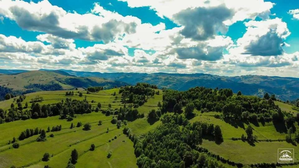 Casa Iancu Ξενοδοχείο Jina Εξωτερικό φωτογραφία
